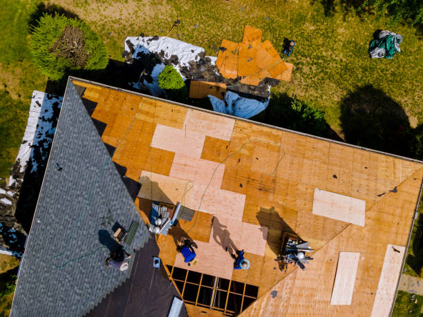 Best Metal Roofing Contractor  in Franklin, NH