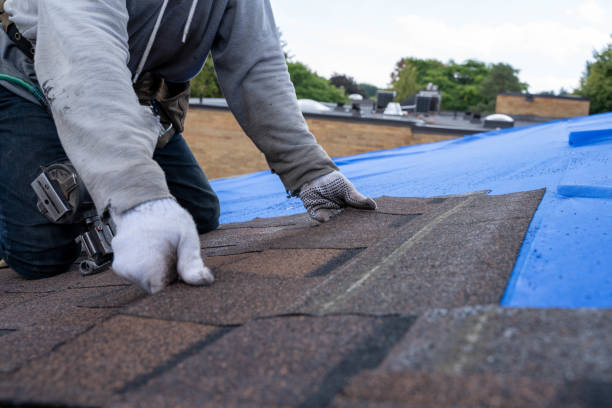 Best Shingle Roofing Installation  in Franklin, NH